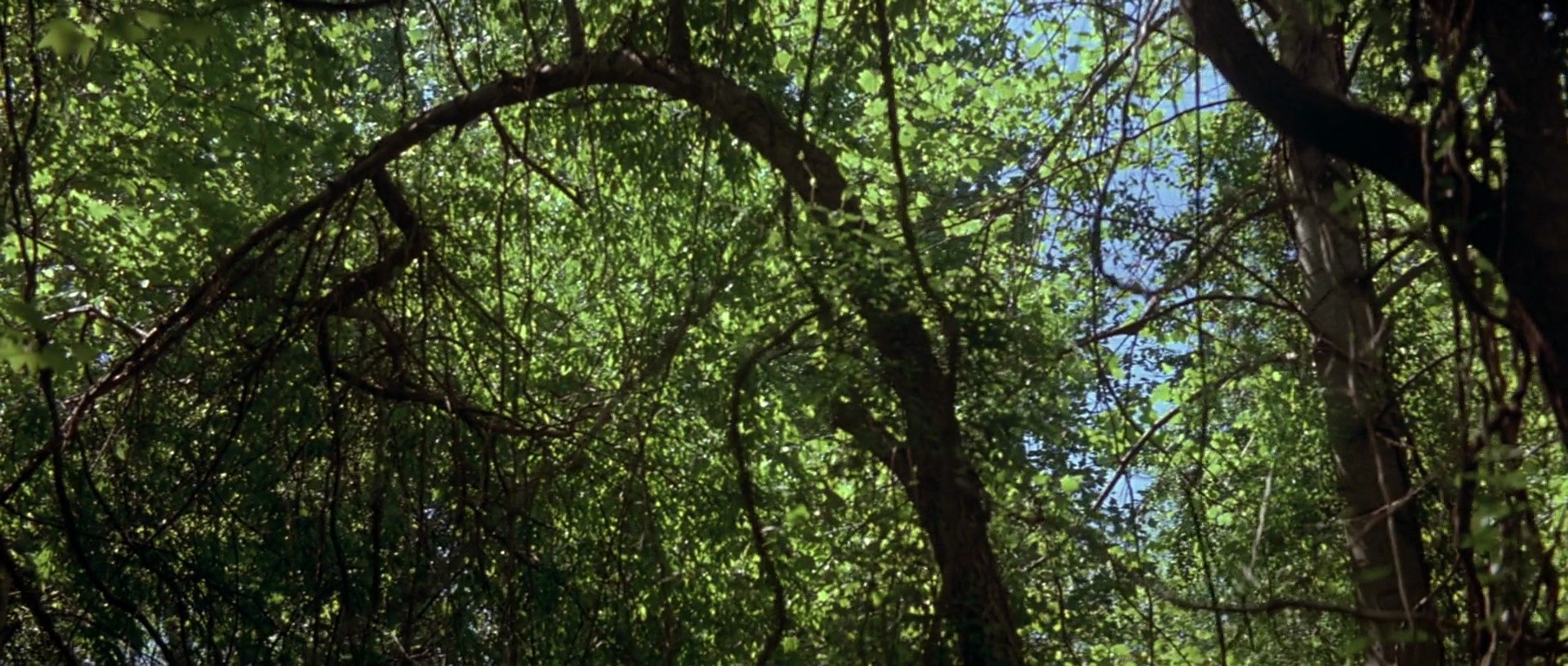 Shot 149