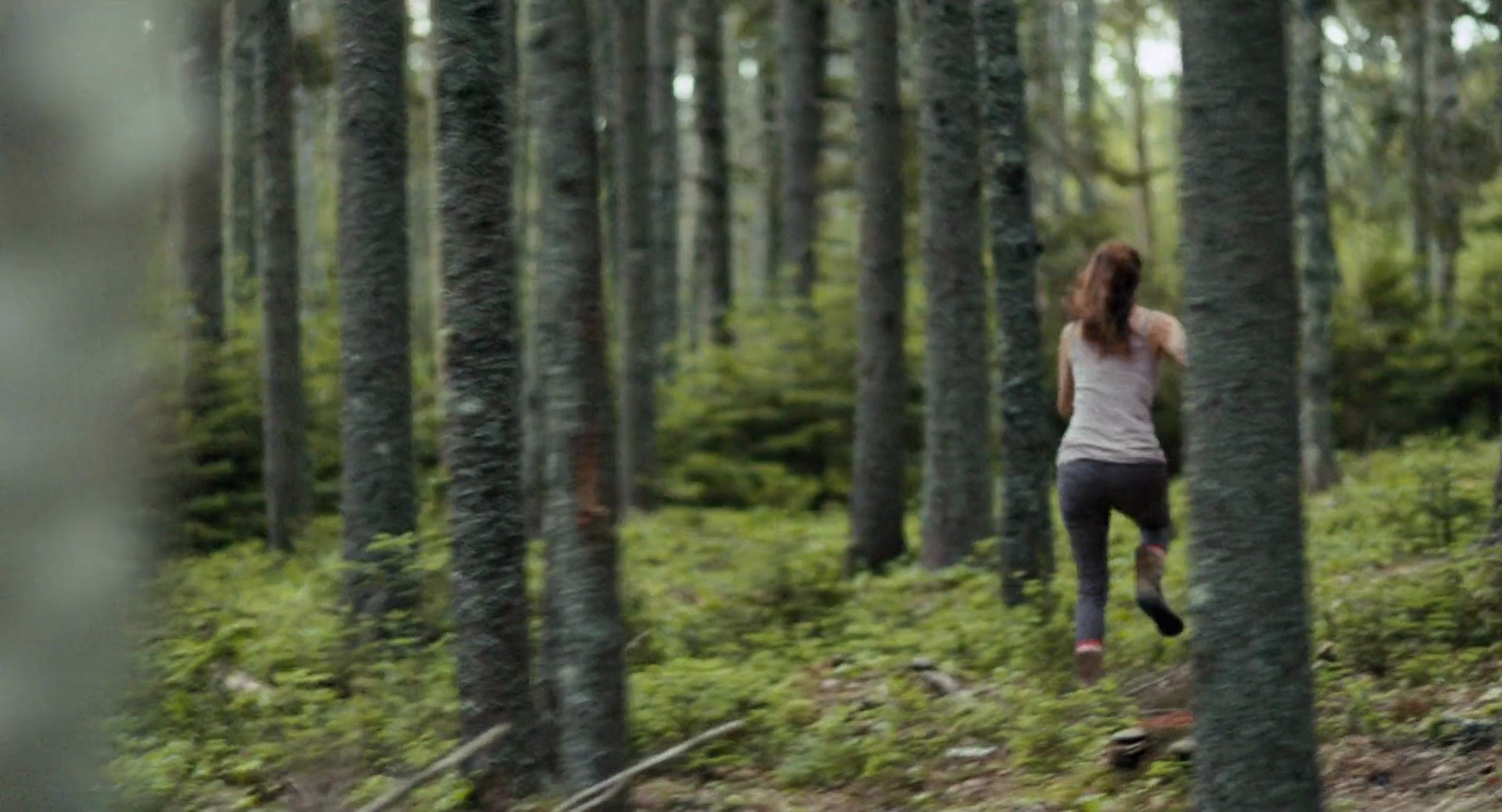 Shot 1165