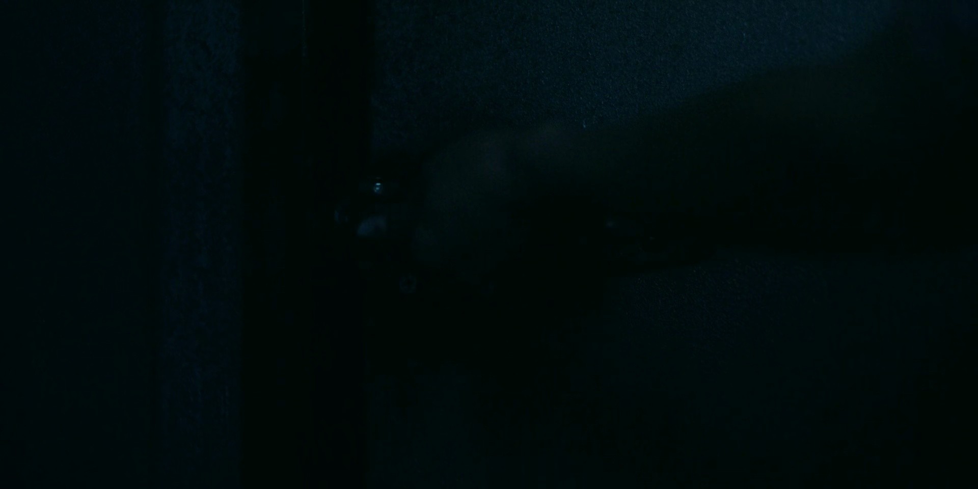 Shot 1381