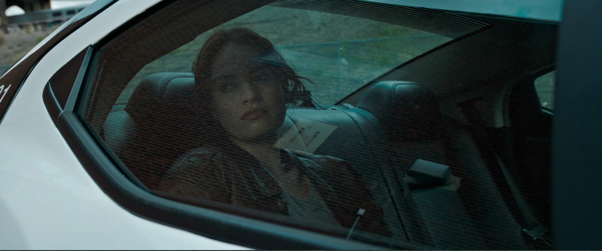 Shot 1393