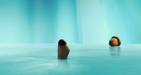 Shot 254