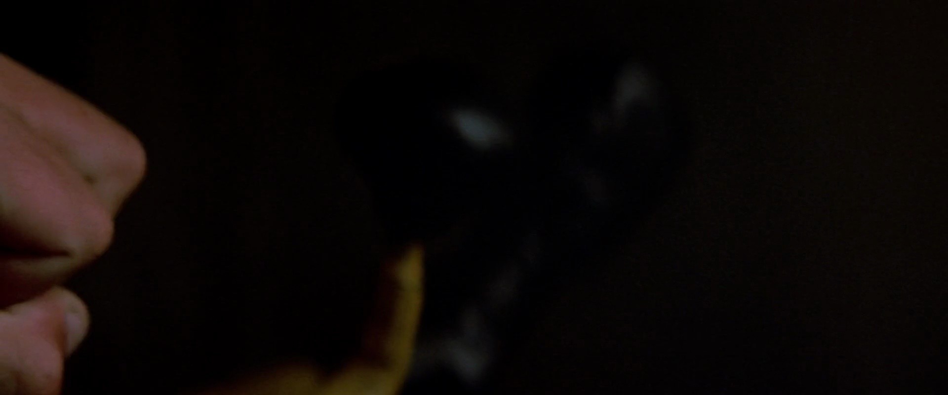 Shot 1205