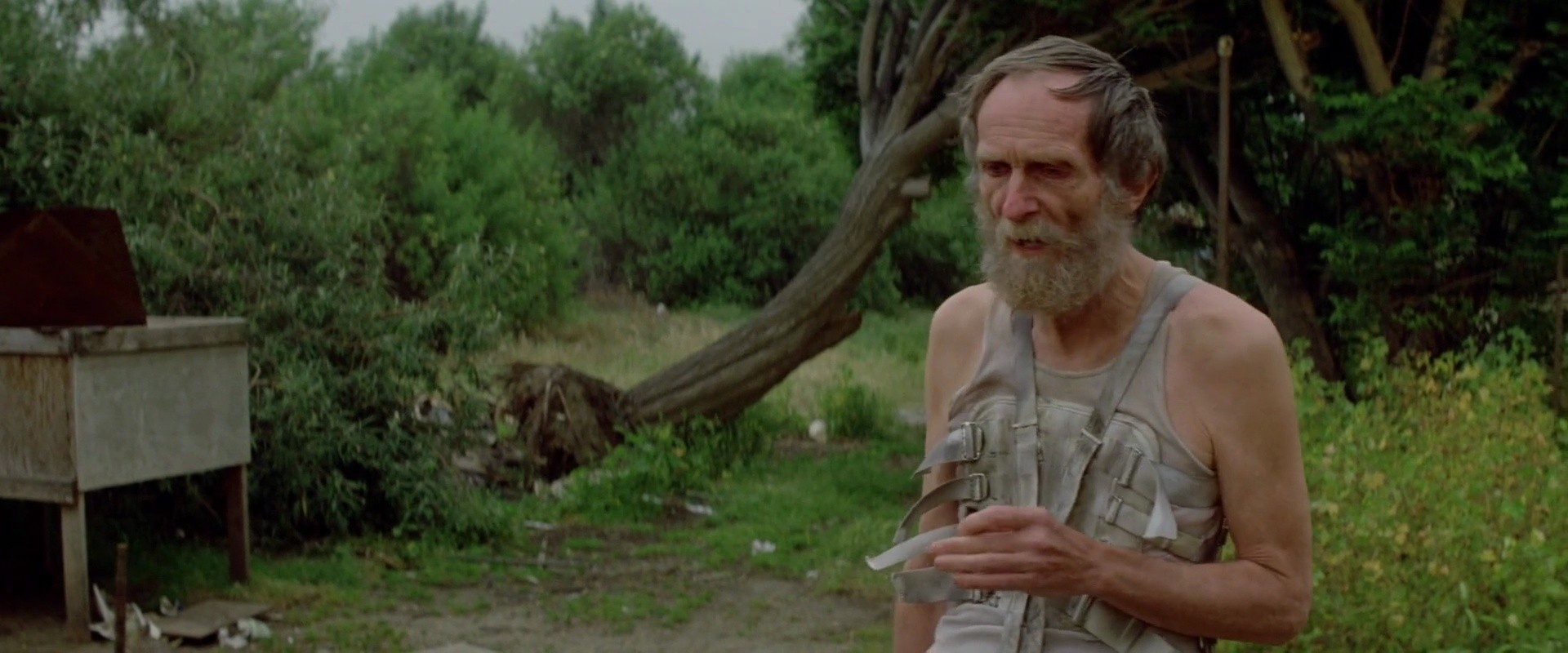 Shot 162