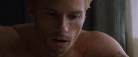 Shot 230
