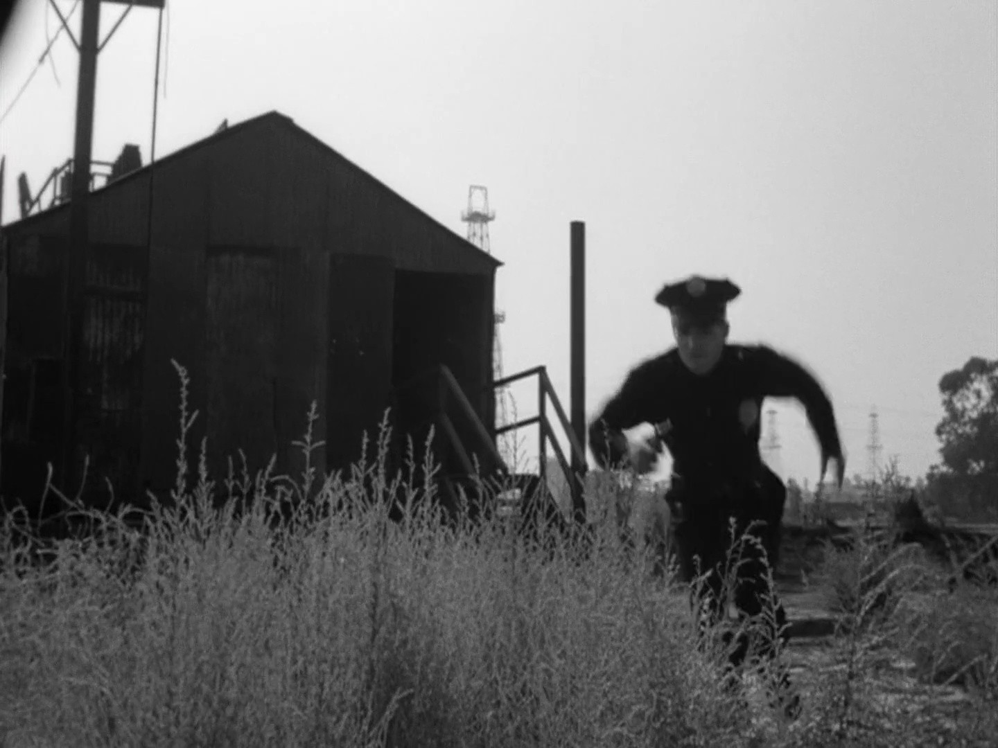 Shot 621