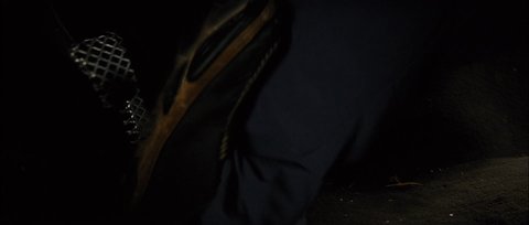 Shot 343