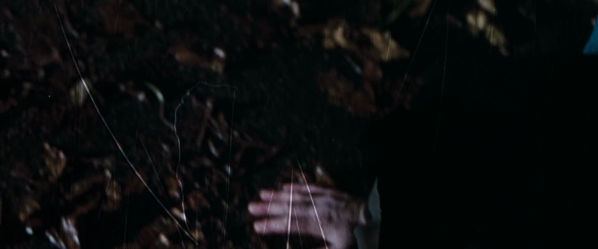 Shot 1336
