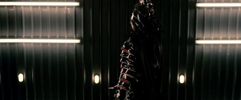 Shot 2049