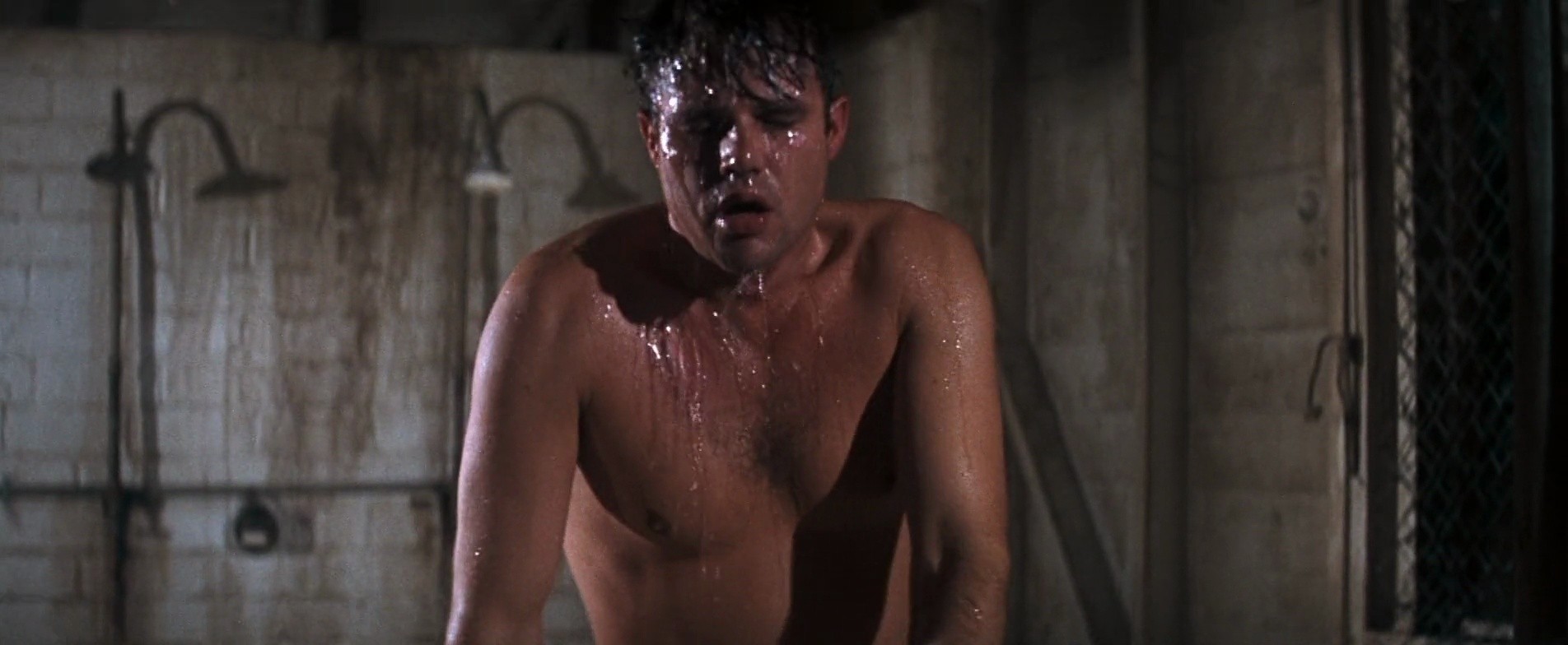 Shot 313