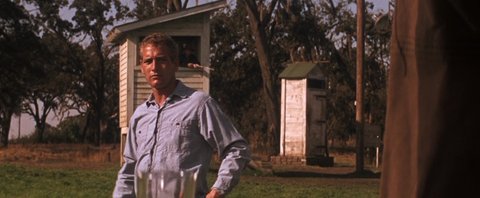 Shot 502