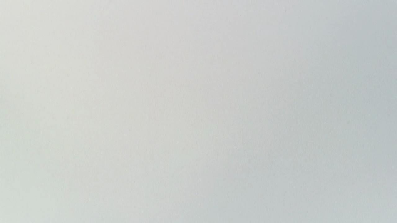 Shot 4
