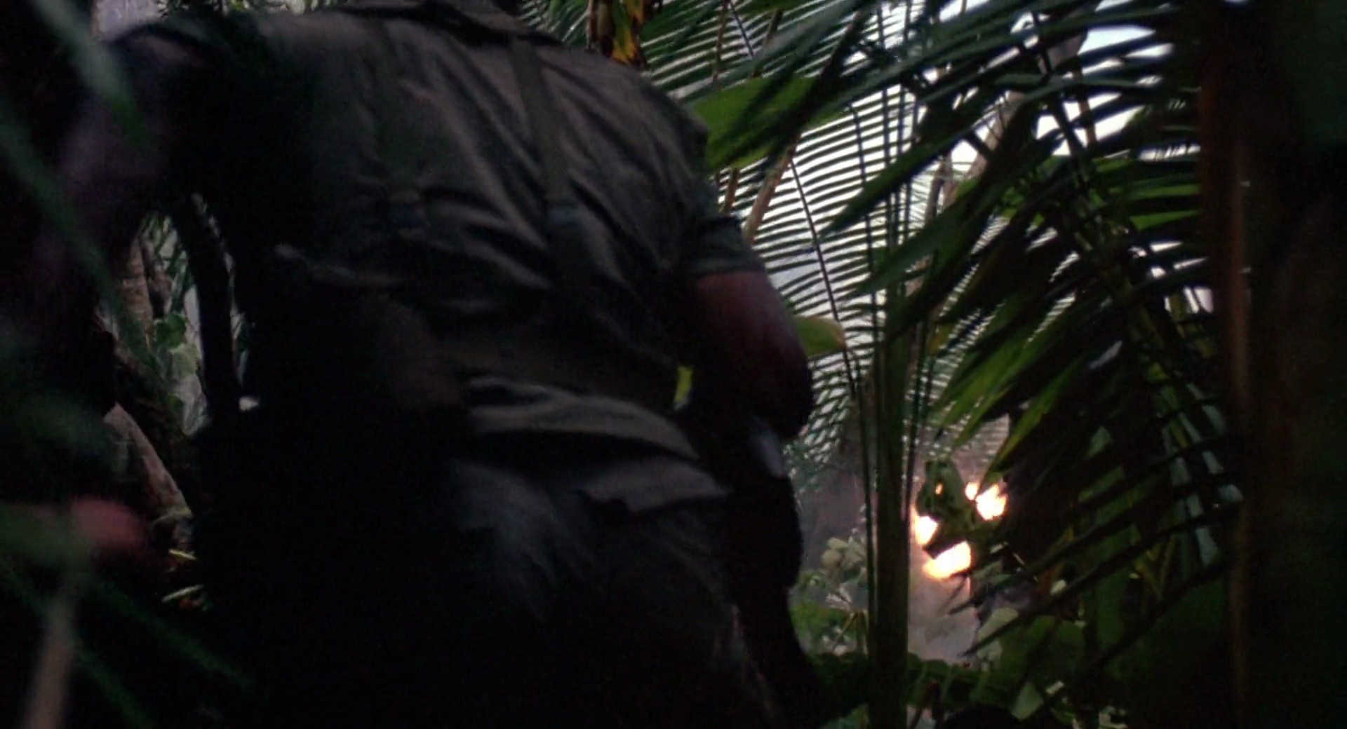 Shot 817