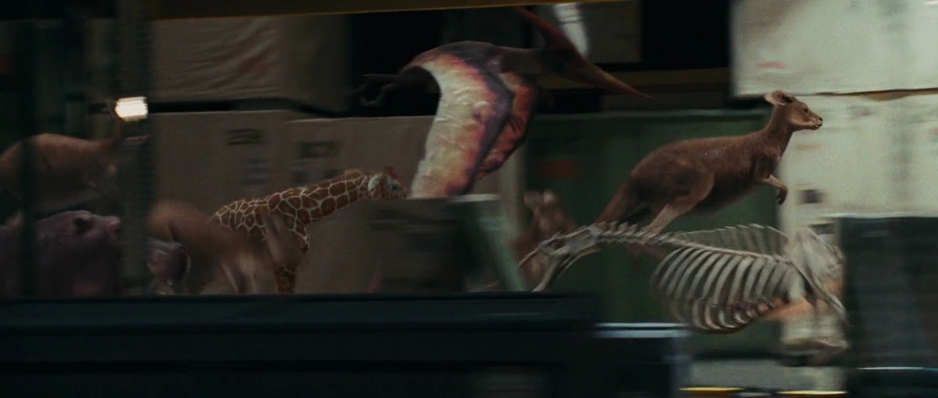 Shot 587