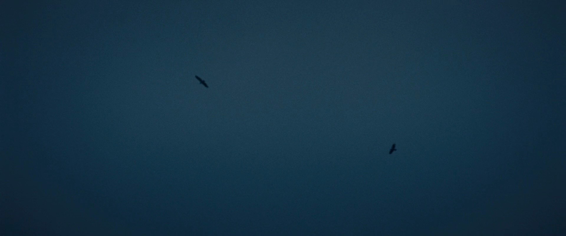 Shot 6