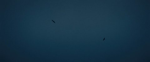 Shot 6