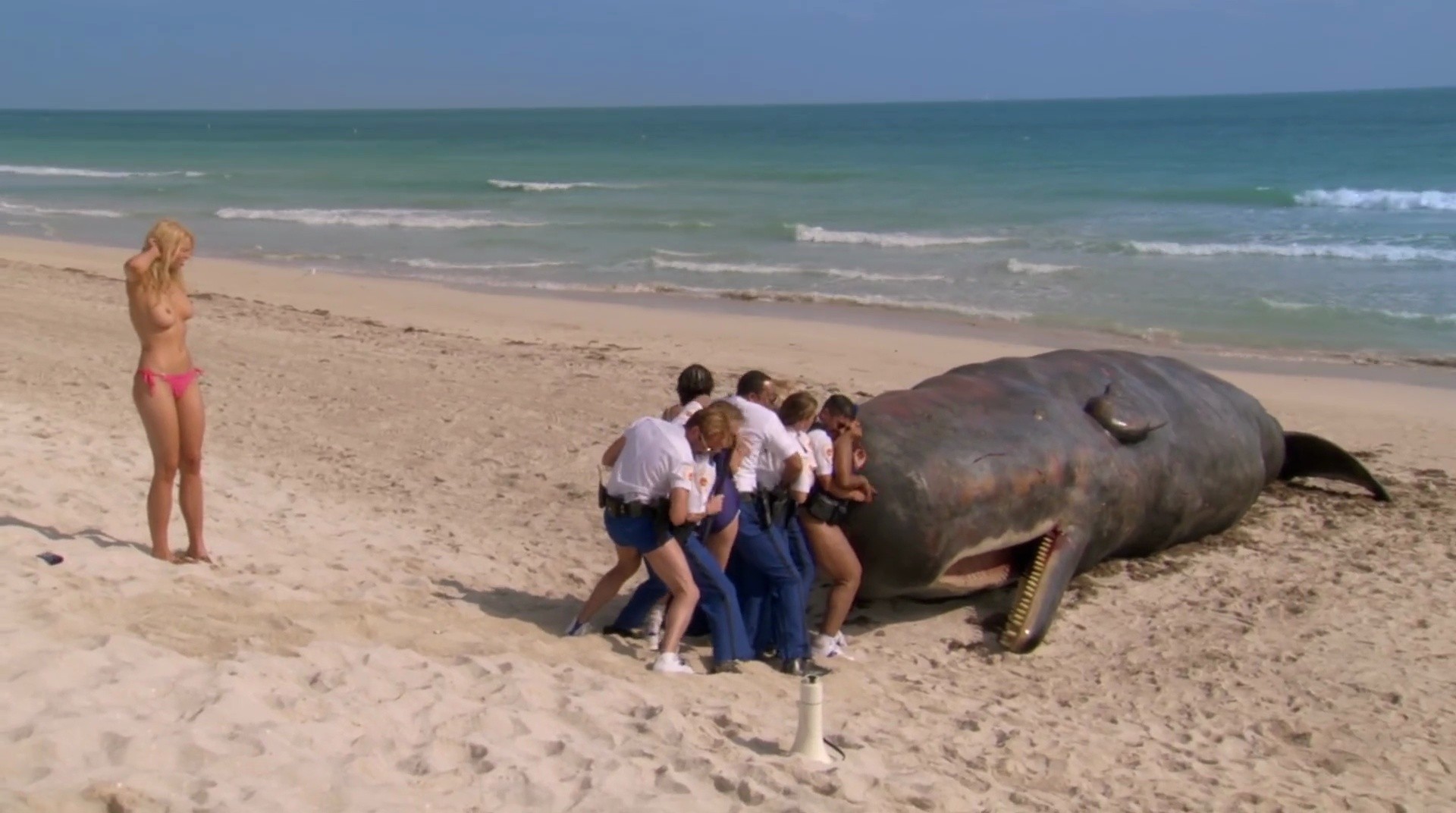 Shot 450