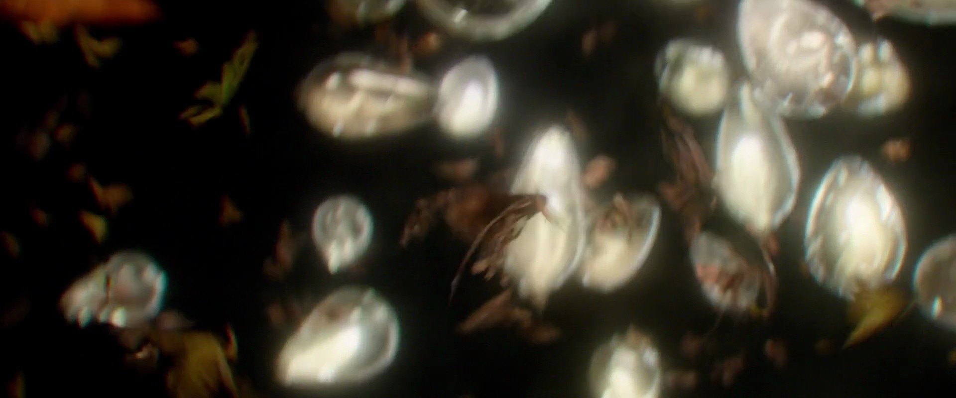 Shot 746