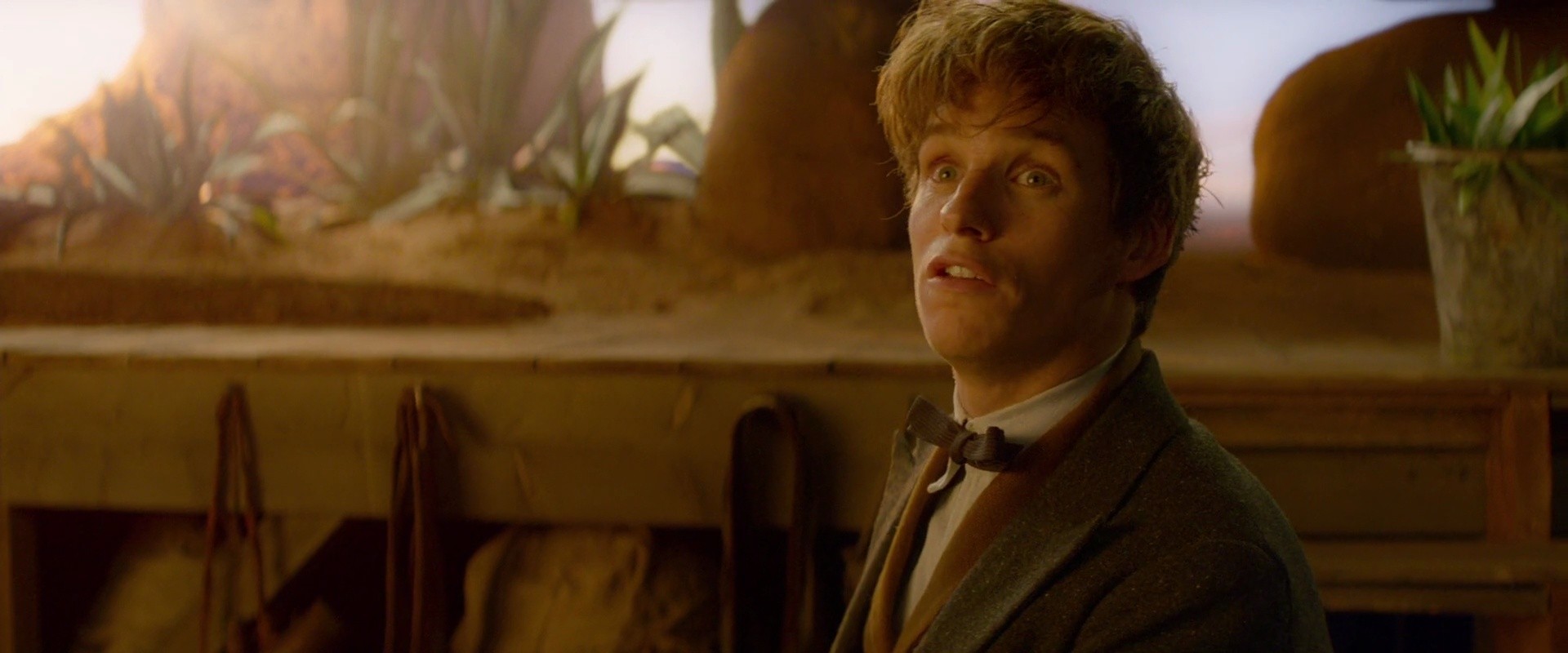 Shot 1542