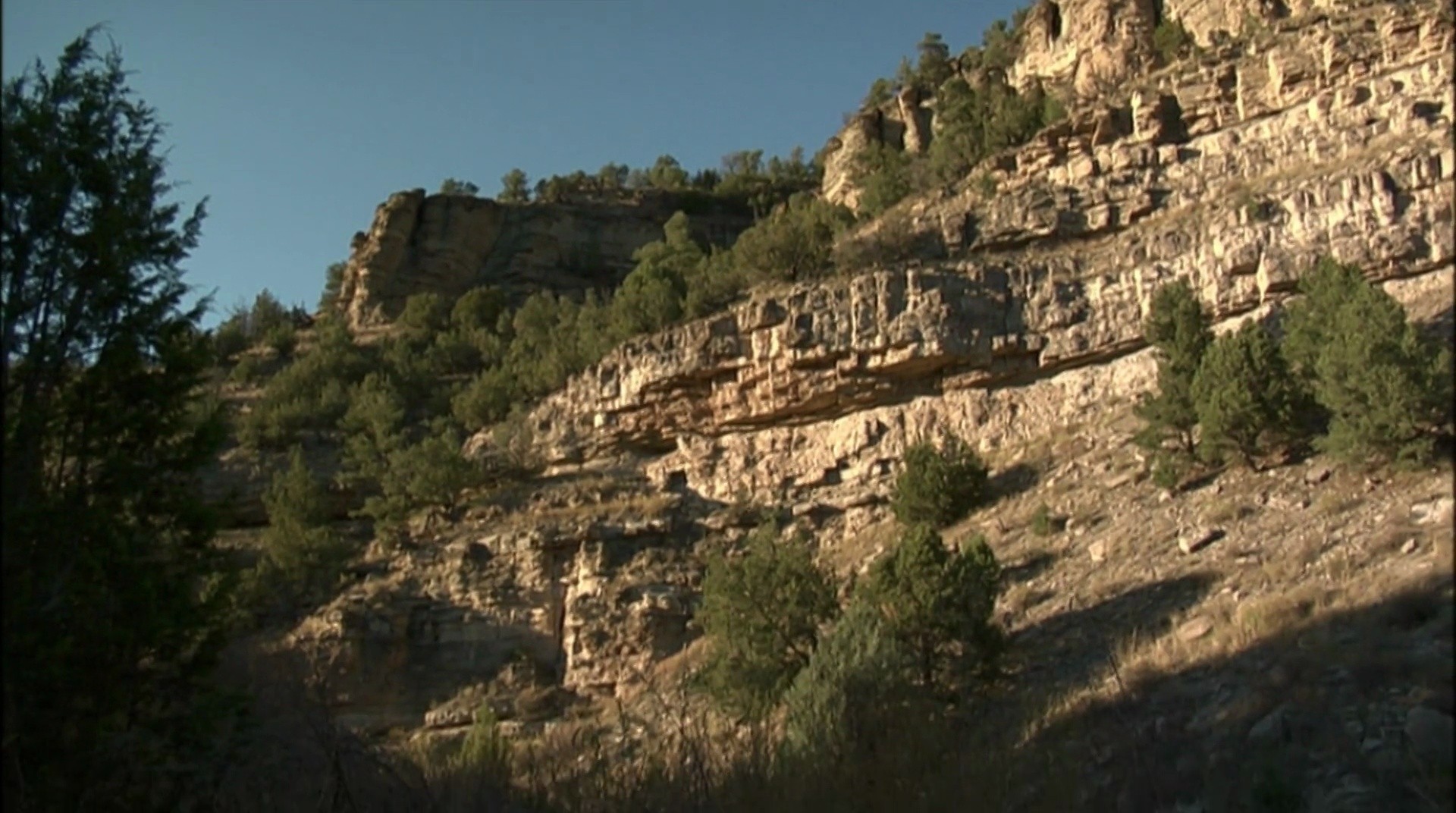 Shot 954