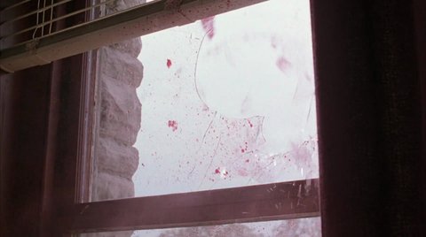Shot 1155