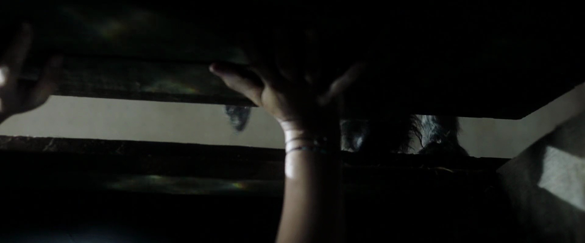 Shot 662