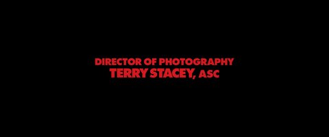 Shot 1973