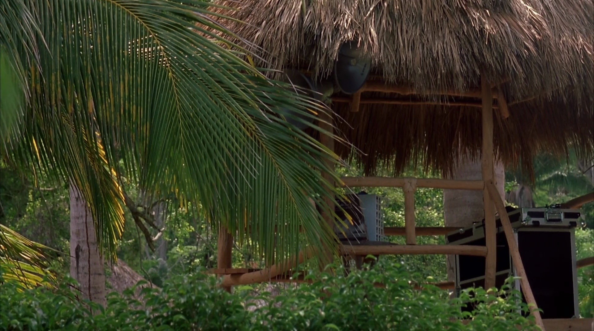 Shot 615