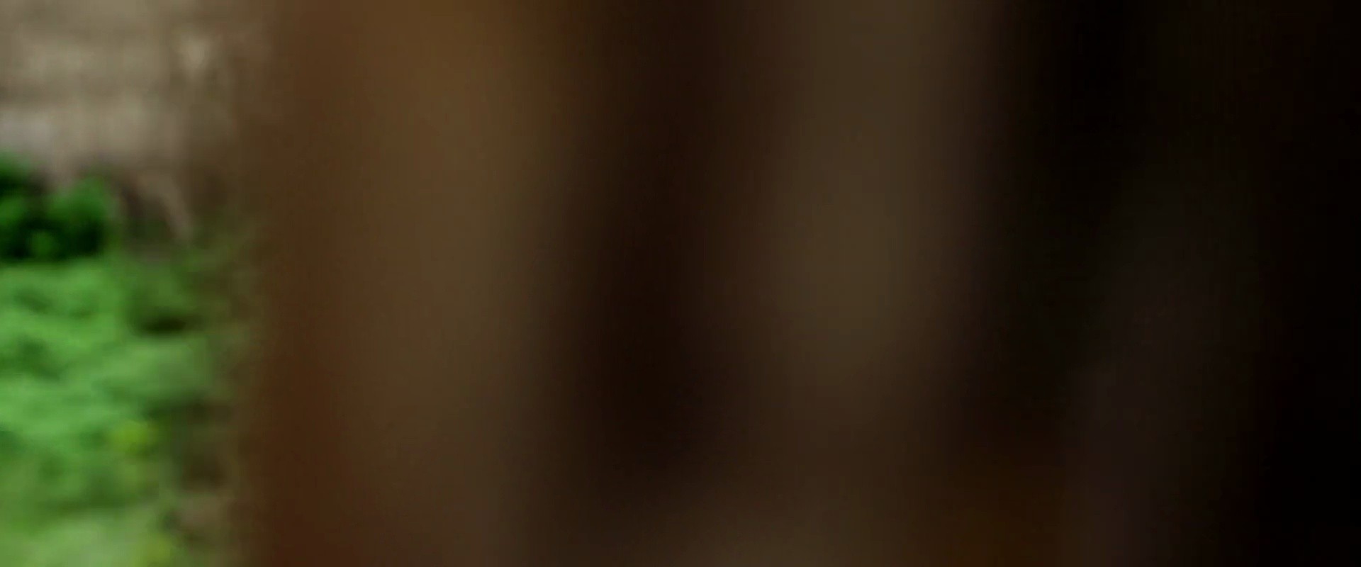 Shot 1894