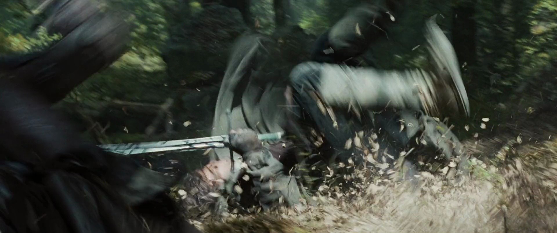 Shot 3709