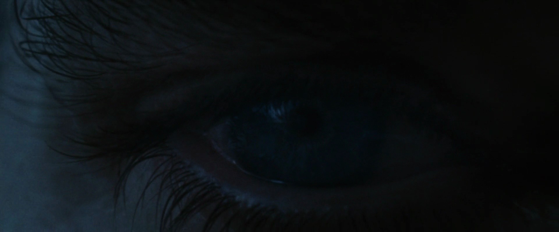 Shot 6