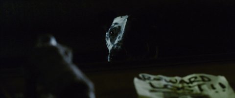 Shot 664