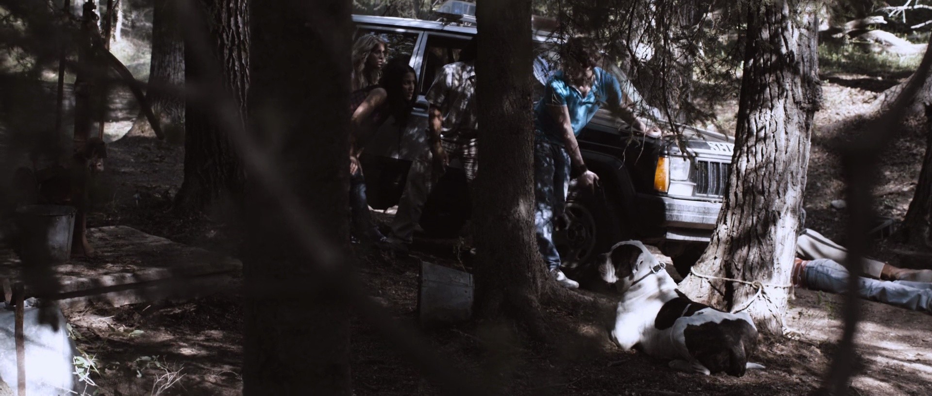 Shot 735