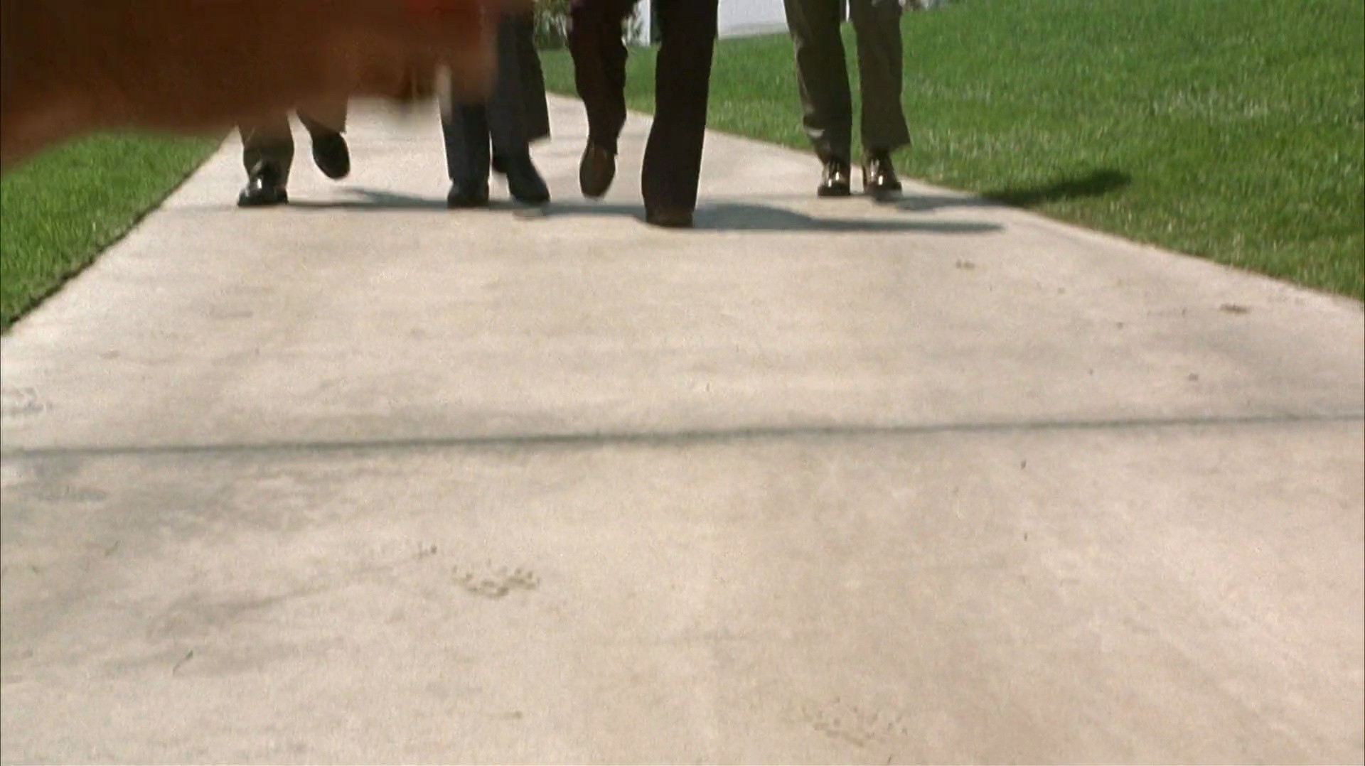 Shot 227