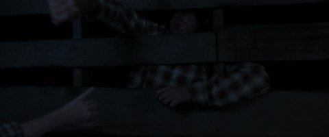 Shot 1446
