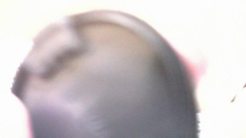 Shot 53