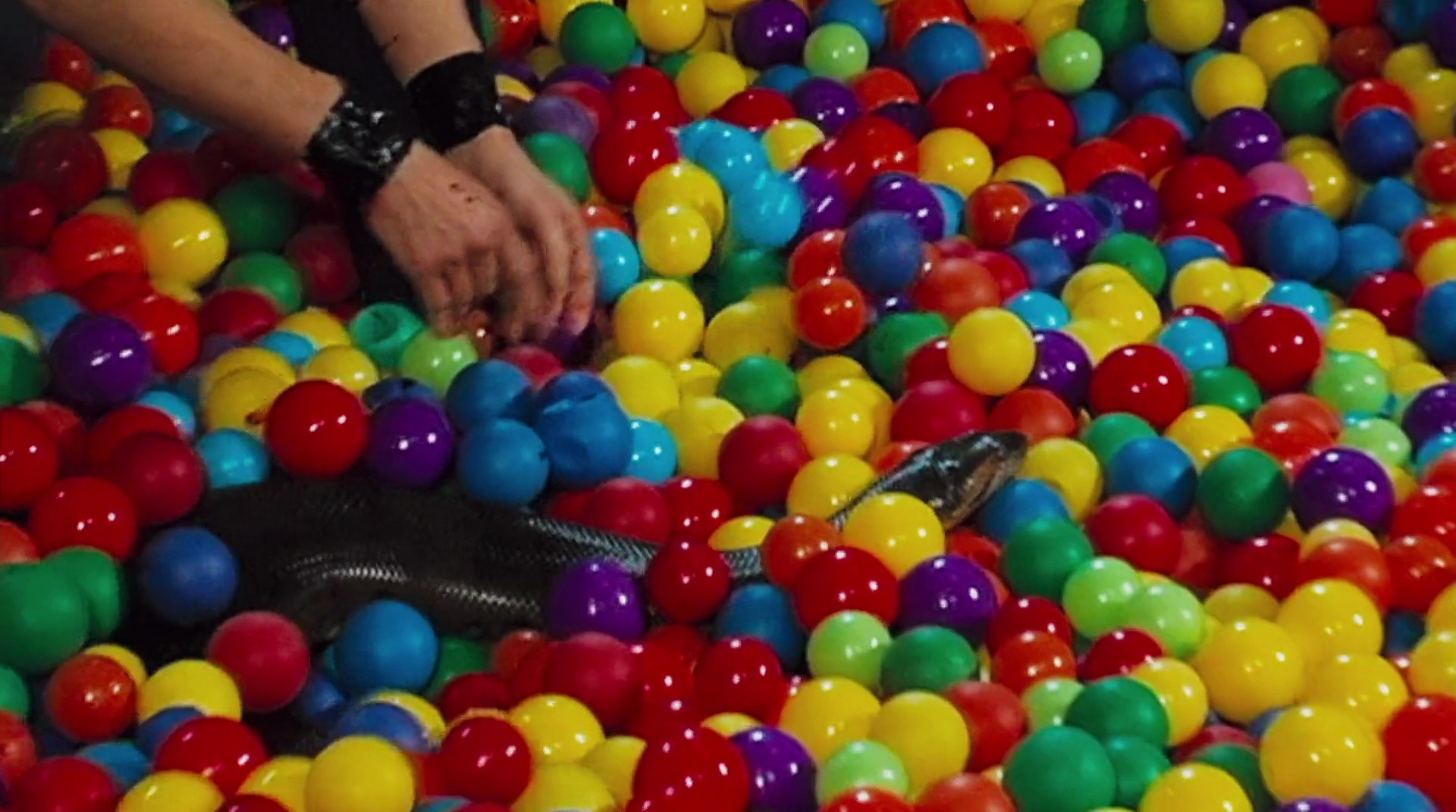 Shot 577