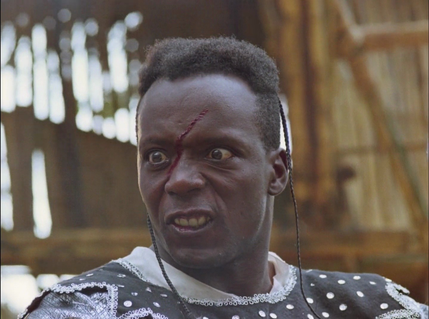 Shot 1293