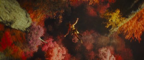 Shot 1652