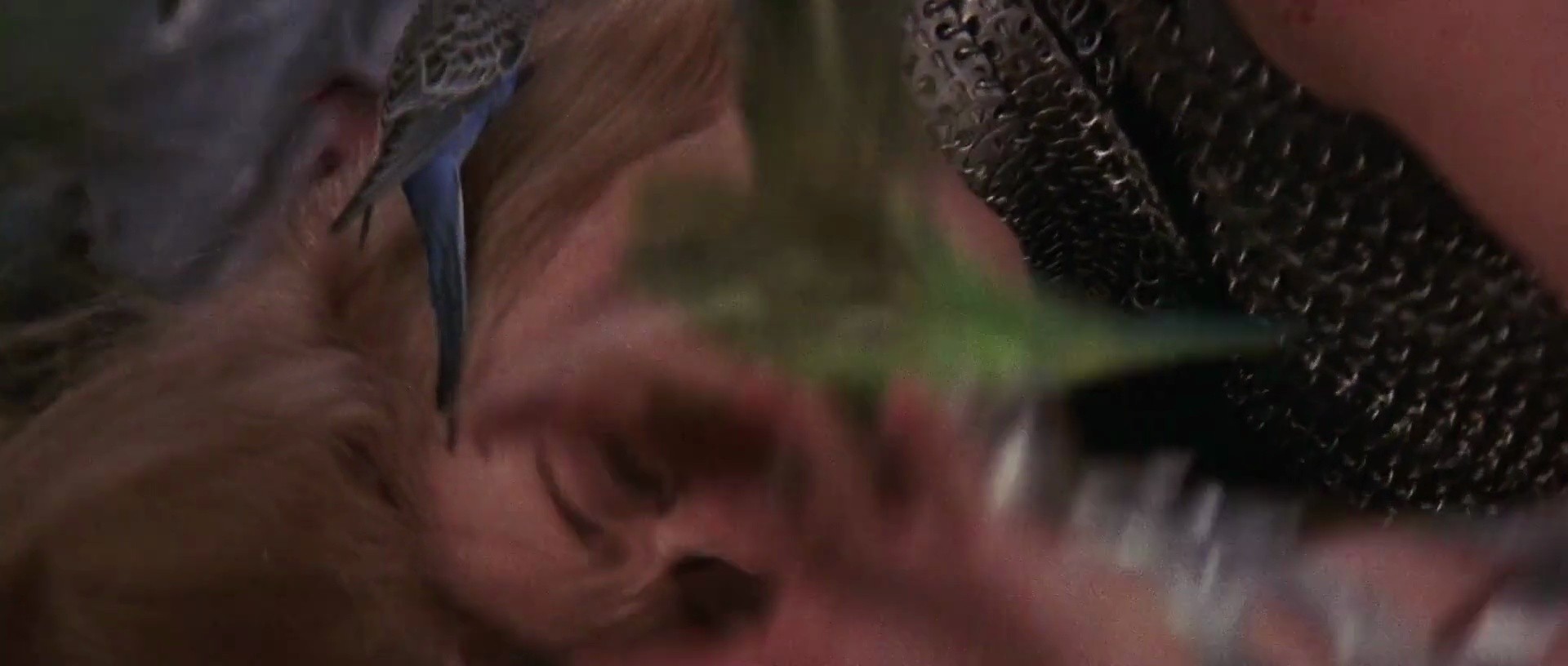 Shot 668