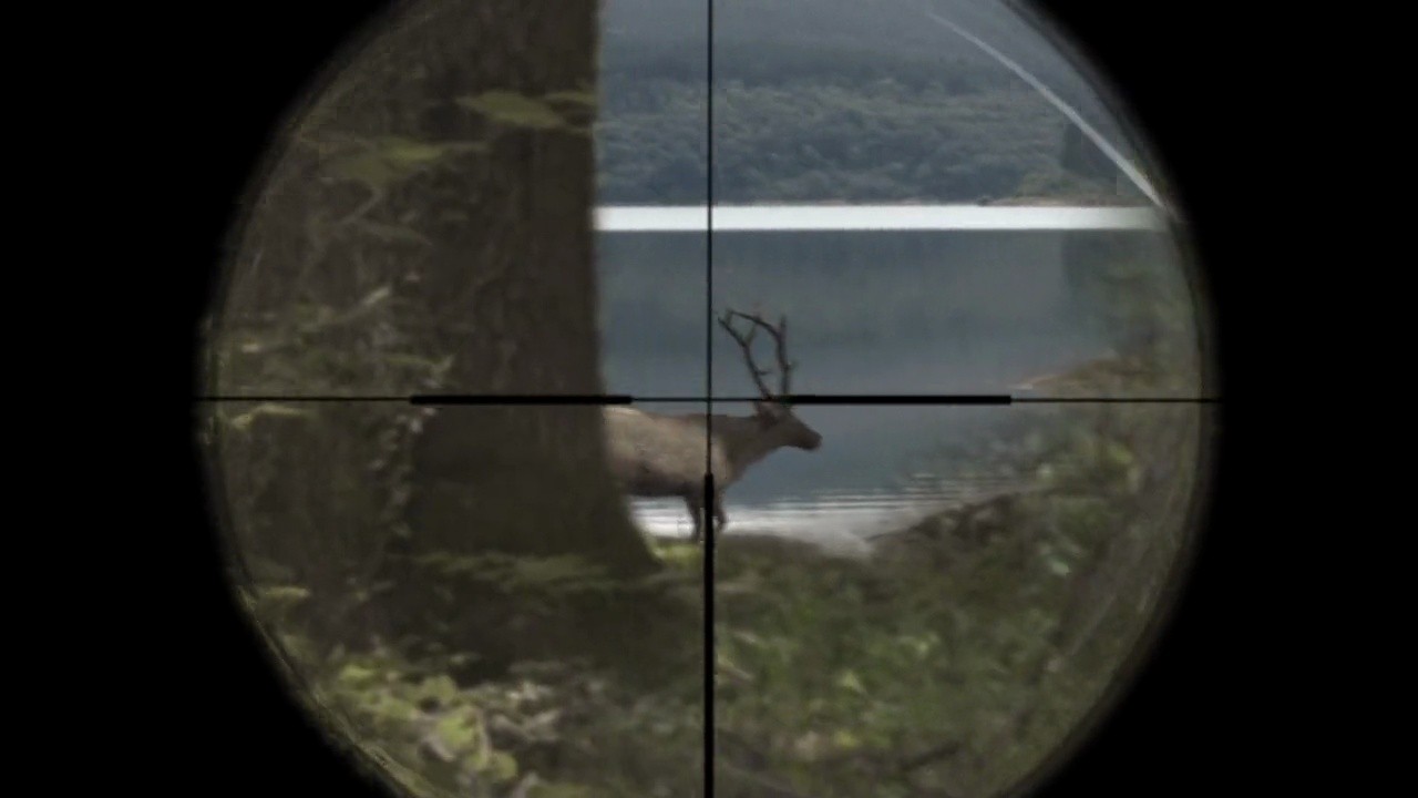 Shot 891