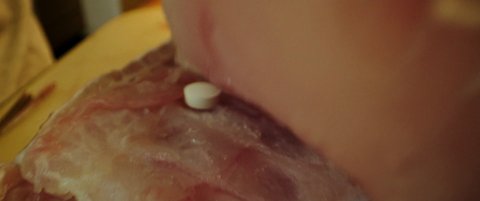 Shot 236