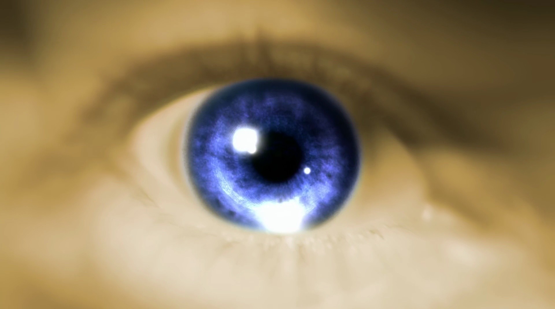 Shot 2