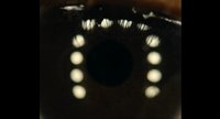 Shot 9