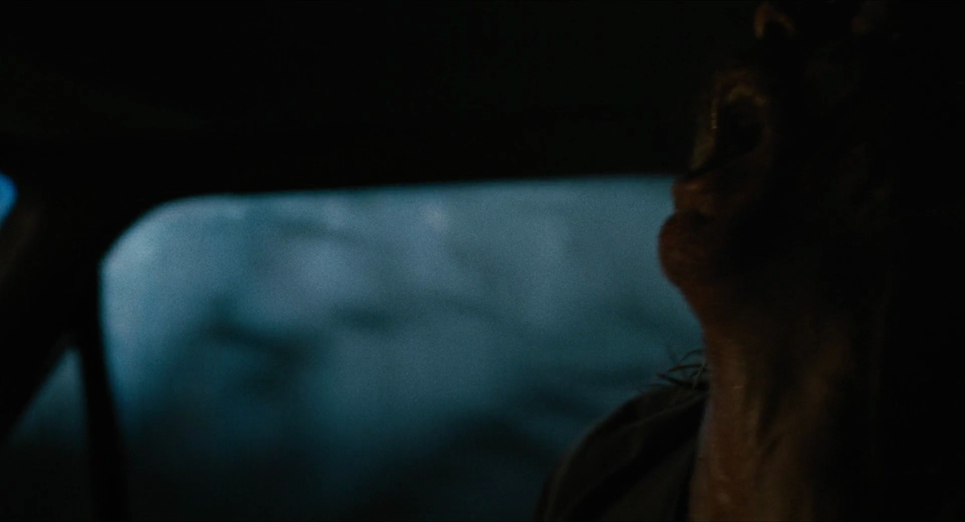 Shot 316