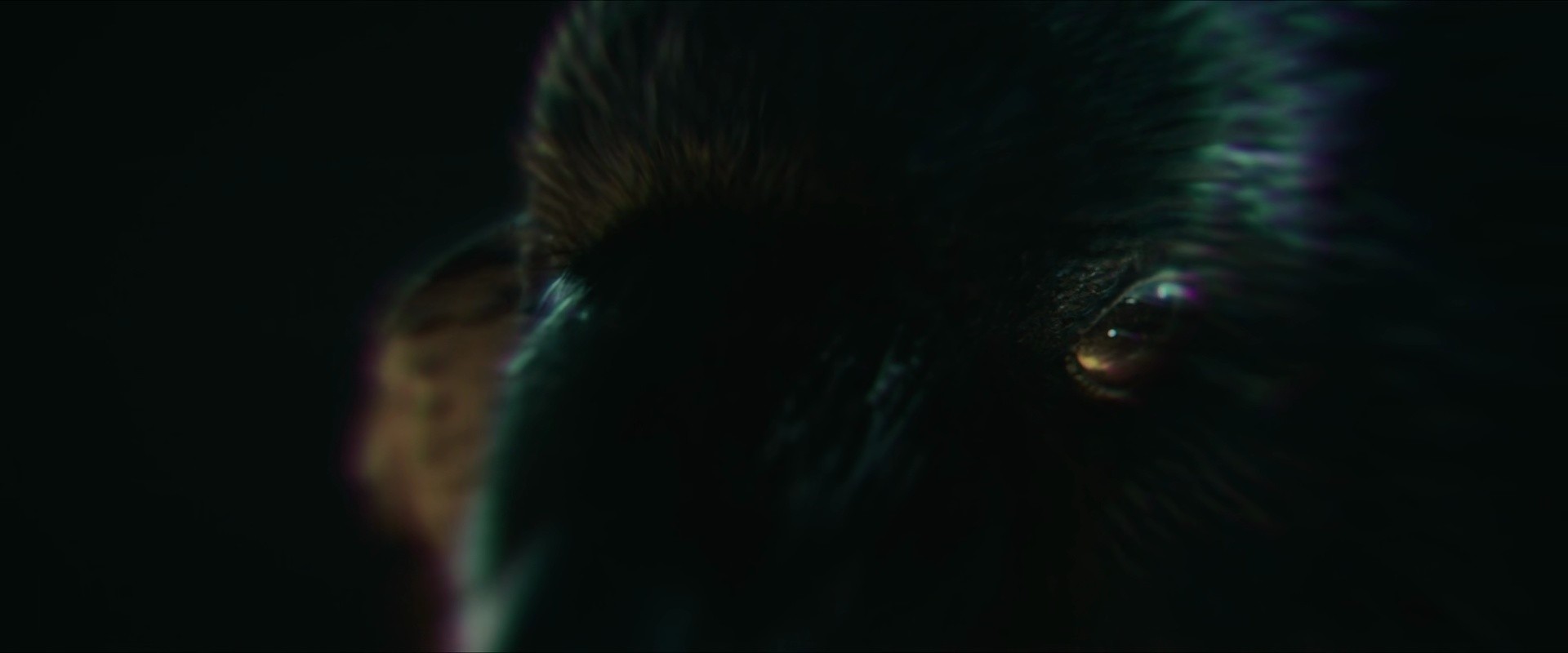 Shot 421