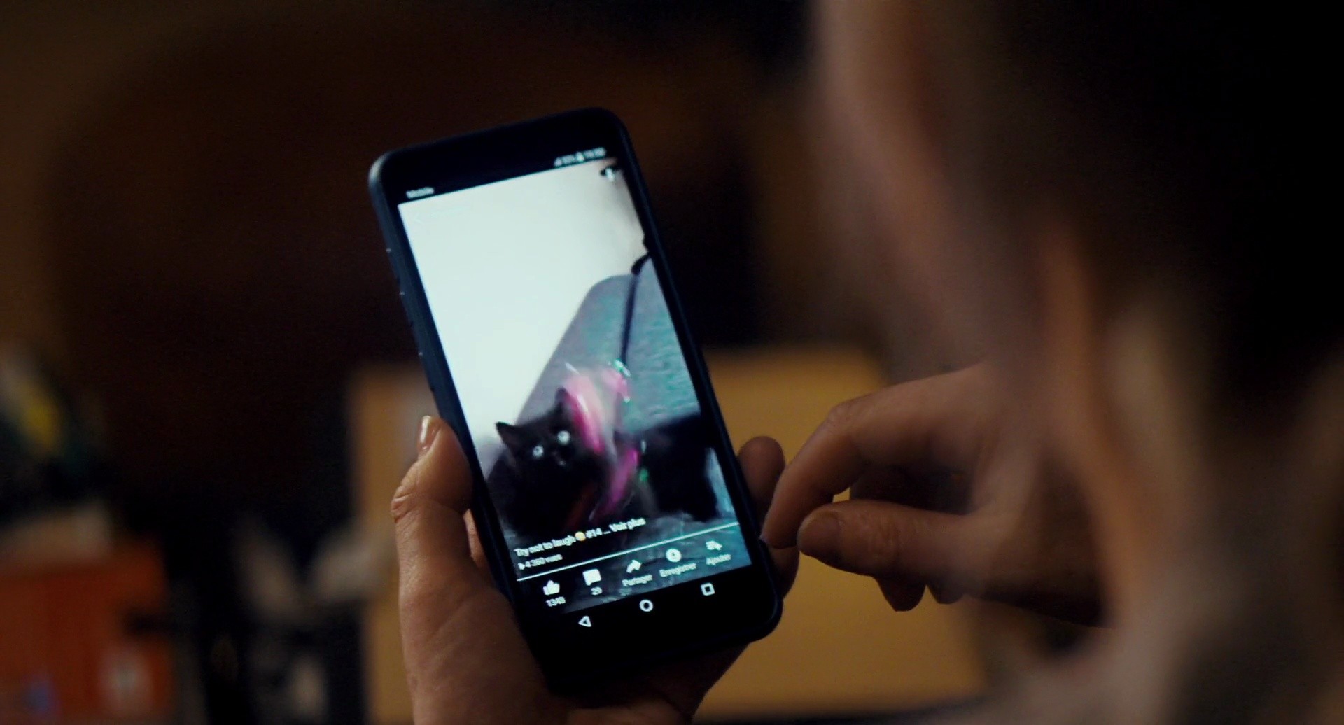 Shot 1013