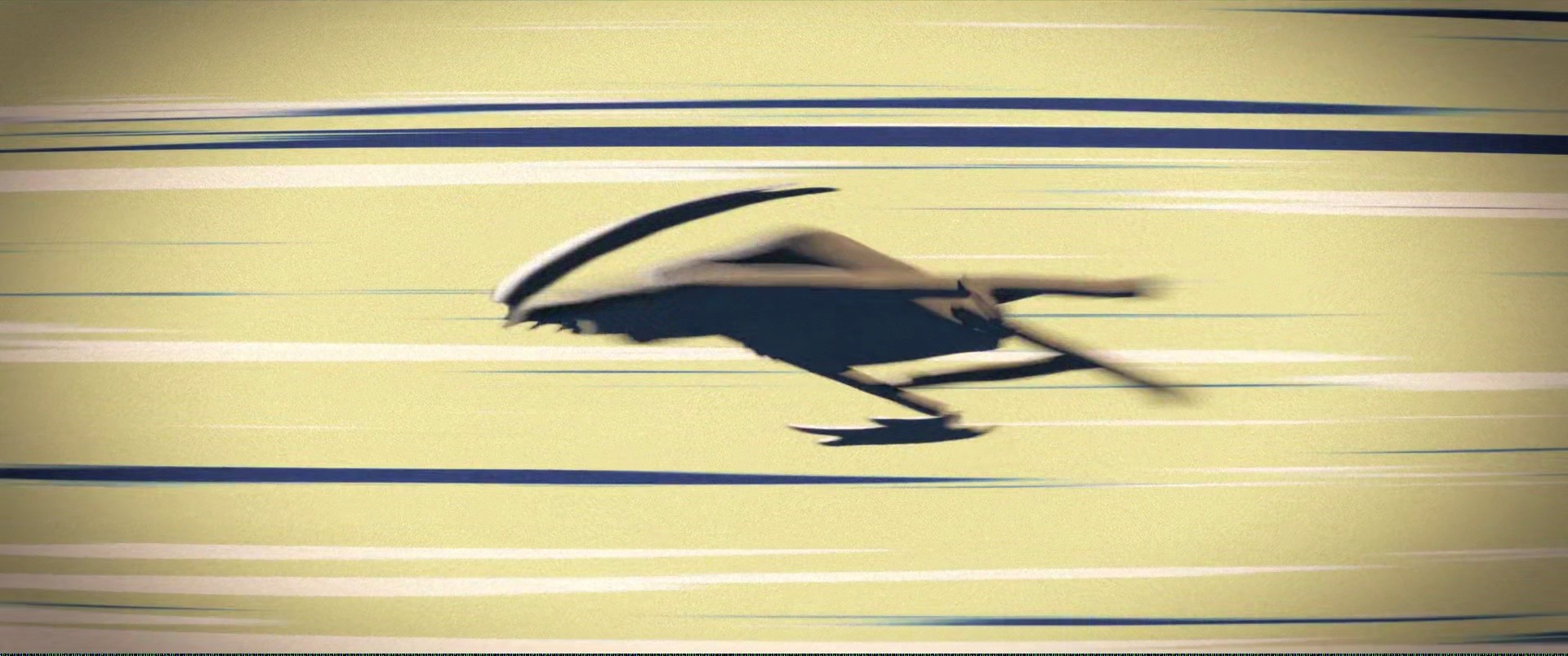 Shot 493