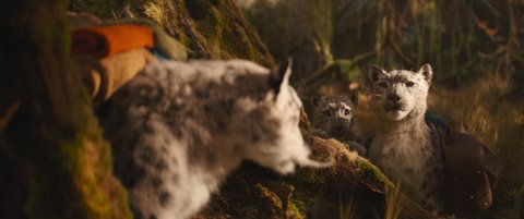 Shot 484