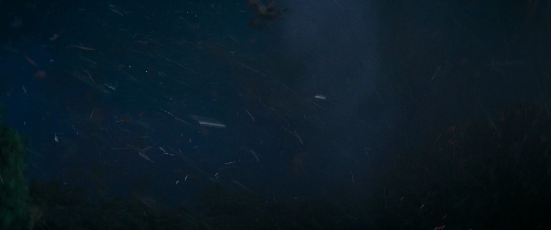 Shot 1301