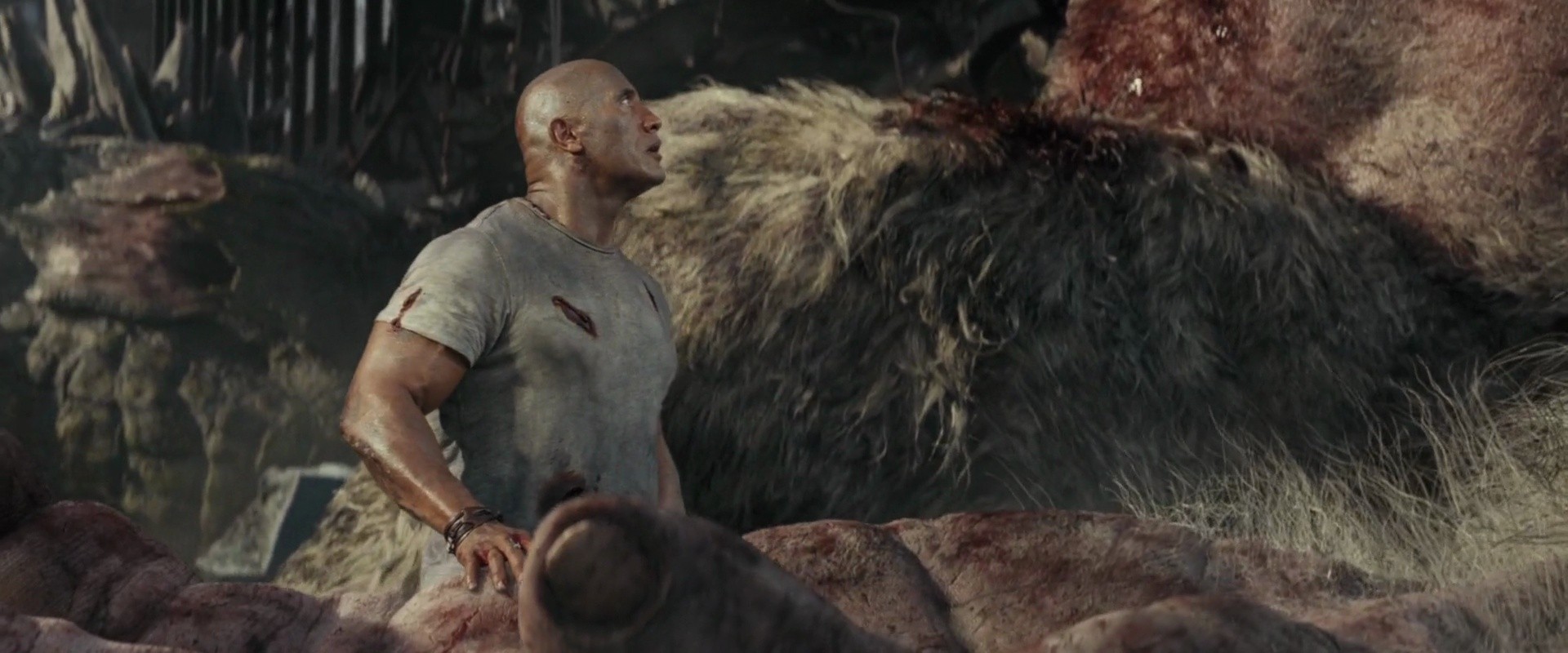 Shot 1845